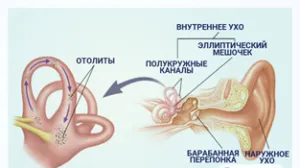 Причины, симптомы и лечение головокружения